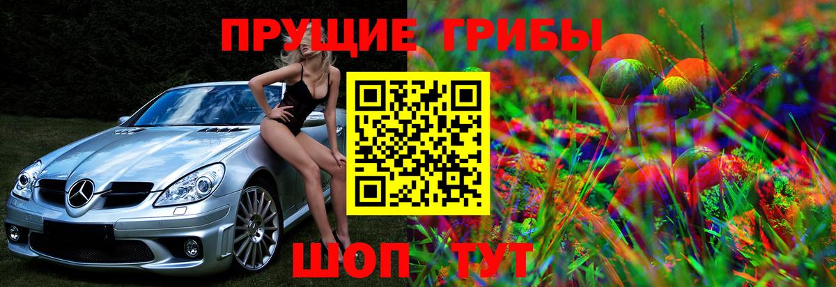 что такое   Вход с VPN  Тейково  Псилоцибиновые грибы мухоморы 